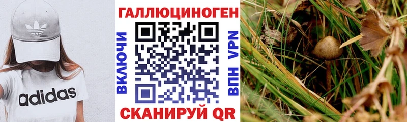 Псилоцибиновые грибы мухоморы  OMG сайт  Аркадак 